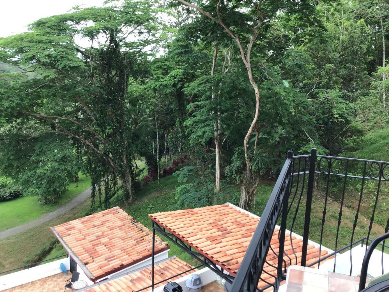 Hotel Los Cielos Del Caribe Cahuita Exterior photo